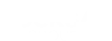 DOCKS GROUP